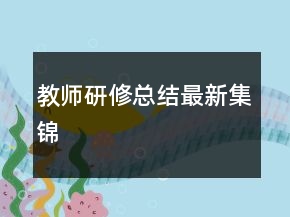 教师研修总结最新集锦