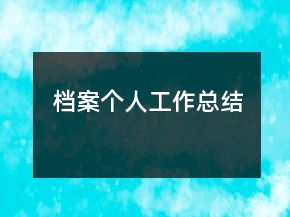 档案个人工作总结