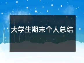 大学生期末个人总结