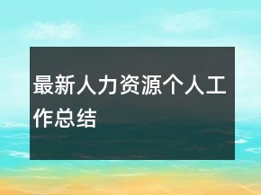 最新人力资源个人工作总结