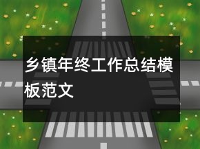 乡镇年终工作总结模板范文