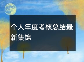 个人年度考核总结最新集锦