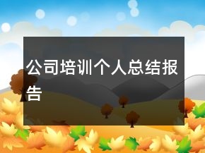 公司培训个人总结报告