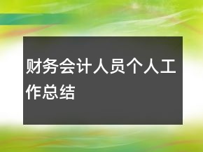 财务会计人员个人工作总结