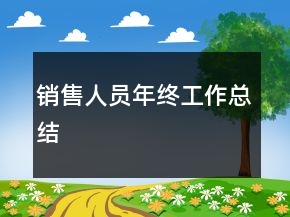 销售人员年终工作总结