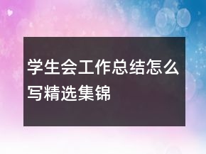 学生会工作总结怎么写精选集锦