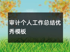 审计个人工作总结优秀模板