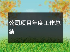 公司项目年度工作总结