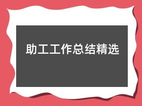 助工工作总结精选