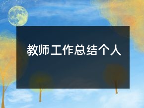 教师工作总结个人