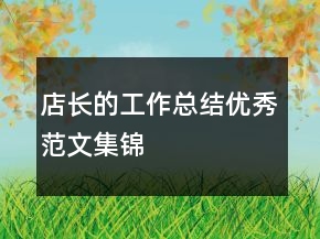 店长的工作总结优秀范文集锦