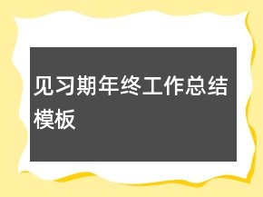 见习期年终工作总结模板