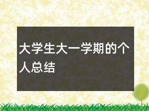 大学生大一学期的个人总结