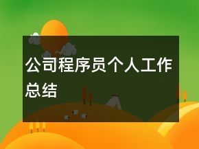 公司程序员个人工作总结
