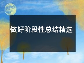 做好阶段性总结精选
