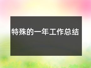 特殊的一年工作总结