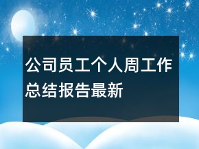 公司员工个人周工作总结报告最新