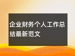 企业财务个人工作总结最新范文