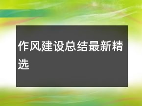 作风建设总结最新精选
