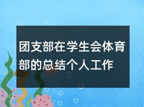 团支部在学生会体育部的总结个人工作计划