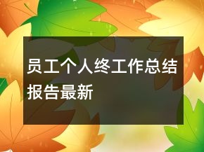员工个人终工作总结报告最新