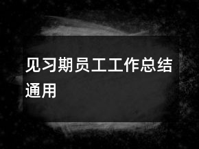 见习期员工工作总结通用