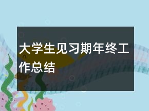 大学生见习期年终工作总结