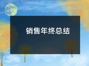 销售年终总结