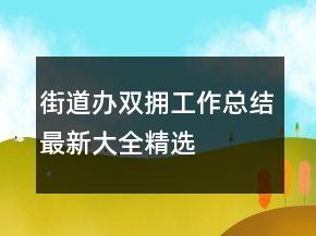 街道办双拥工作总结最新大全精选