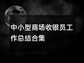 中小型商场收银员工作总结合集