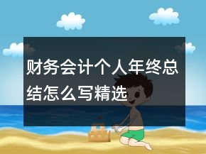 财务会计个人年终总结怎么写精选