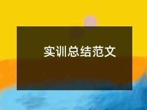 实训总结范文