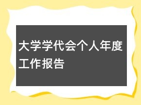 大学学代会个人年度工作报告