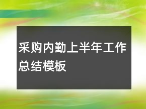 采购内勤上半年工作总结模板