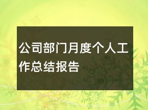 公司部门月度个人工作总结报告