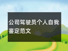 公司驾驶员个人自我鉴定范文