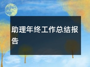 助理年终工作总结报告