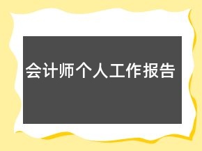会计师个人工作报告