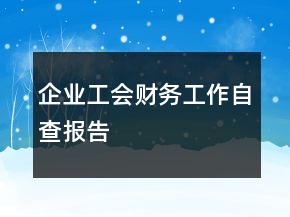 企业工会财务工作自查报告