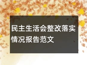 民主生活会整改落实情况报告范文