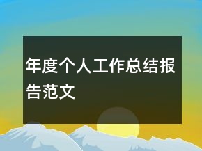 年度个人工作总结报告范文