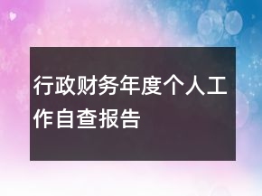 行政财务年度个人工作自查报告