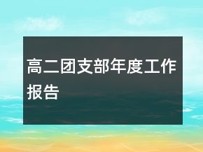 高二团支部年度工作报告