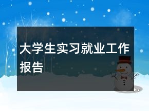 大学生实习就业工作报告