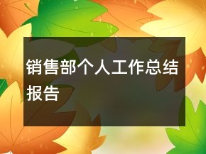 销售部个人工作总结报告