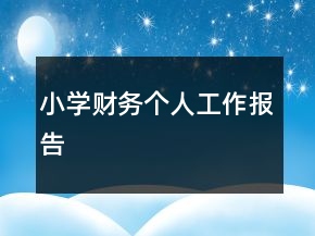 小学财务个人工作报告