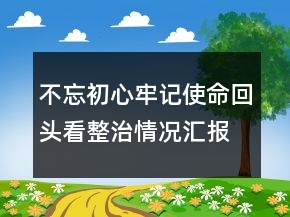 不忘初心牢记使命回头看整治情况汇报精选