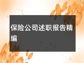 保险公司述职报告精编
