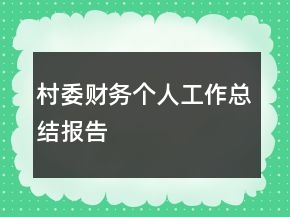 村委财务个人工作总结报告