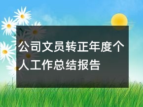 公司文员转正年度个人工作总结报告
